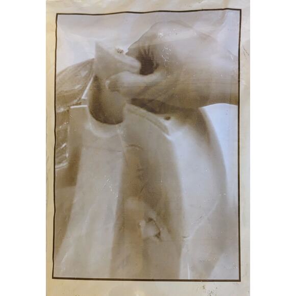 NWT Petmate Fresh Flow Pet Fountain Unbendable Replacement Filters 3-3 Packs - Picture 3 of 7